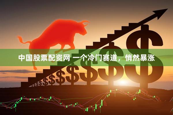 中国股票配资网 一个冷门赛道，悄然暴涨
